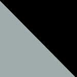 Black/Silver