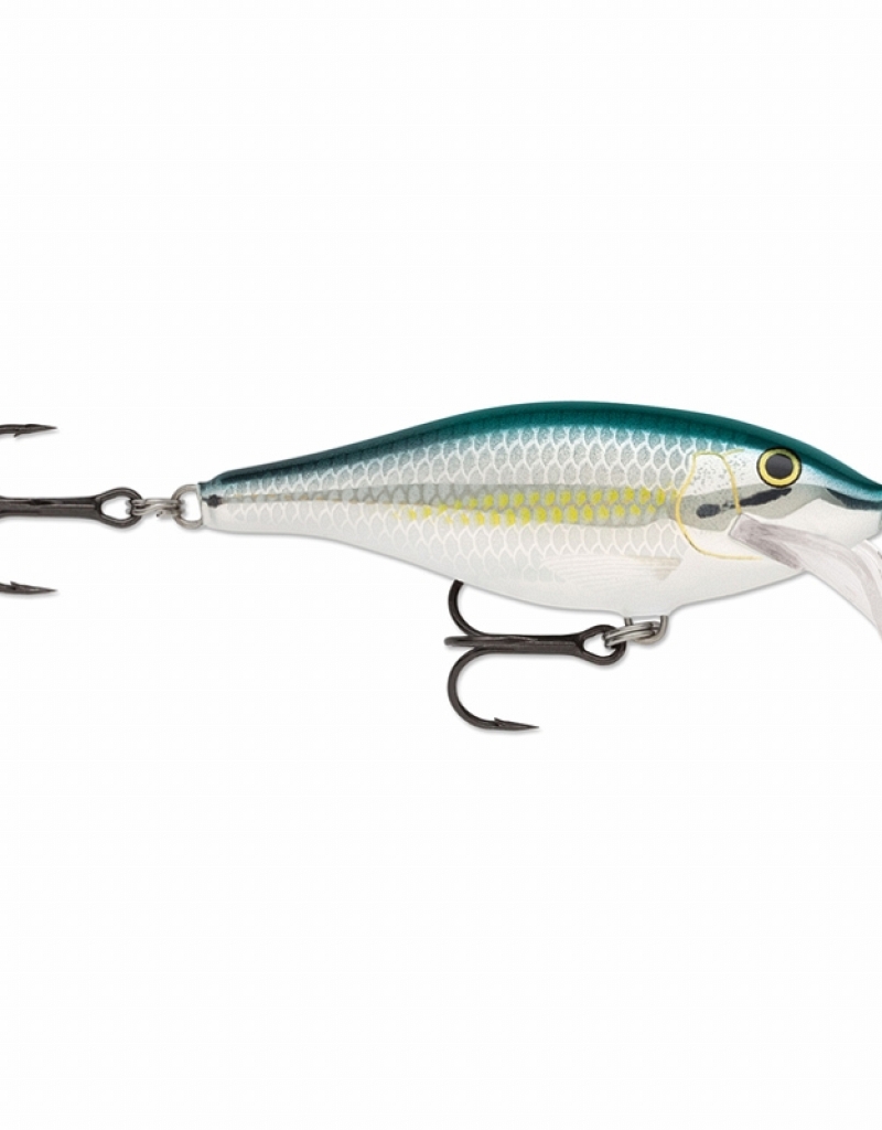 rapala scatter rap shad