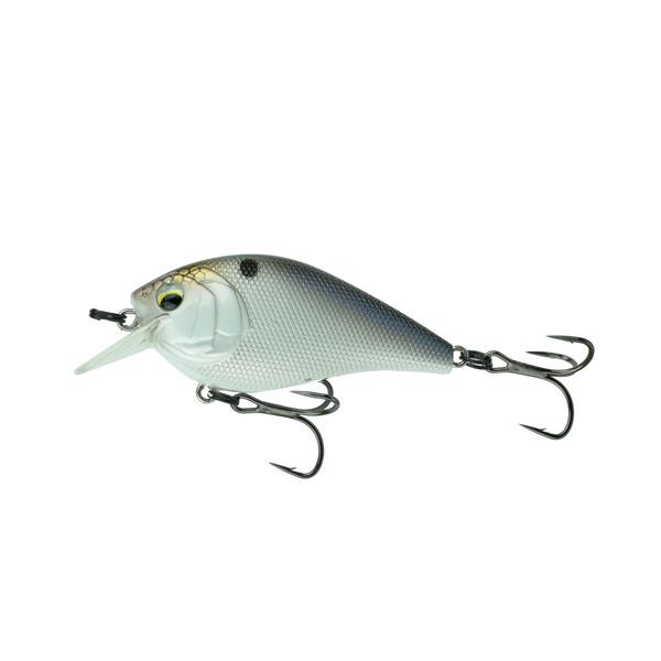 4K Shad