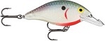 Tennessee Shad