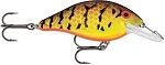 Brown Mud Craw