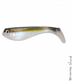Bronze Shad