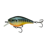 Backwater Bluegill