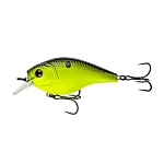 Chartreuse Black Back