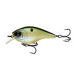 Shad Craft