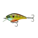 Spring Bluegill
