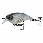 Sensory Shad