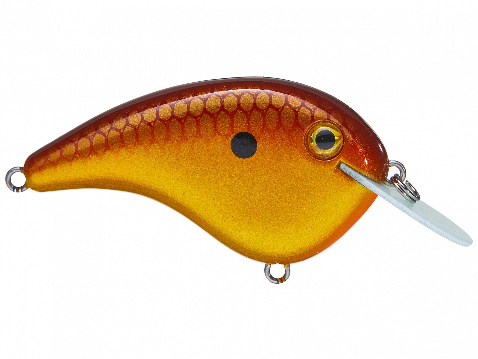 chick magnet fishing lure Strike King Flat Side Crankbait Capturing the most critical aspects of size Strike King Chick Magnet -