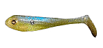 Blueback Shad