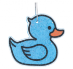 Blue Duck