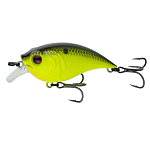 Chartreuse Black Back