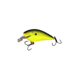 Chartreuse Black Back