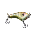 Bluegill