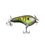 Bold Bluegill