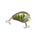 Bold Bluegill