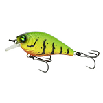 Craw Fire