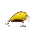 Hot Mustard