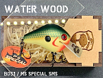 MS Special