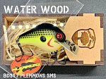 Plemmons