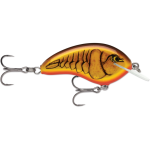 Dark Brown Crawdad