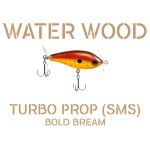 Bold Bream