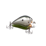 Hot Shad