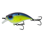 Chartreuse Spank