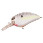 Nasty Shad