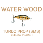 Yellow Perch