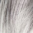 Fashion grey