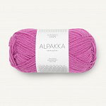 4628 Magenta
