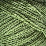 860 Olive