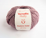 Raspberry Sorbet