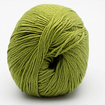 43 Medium Green