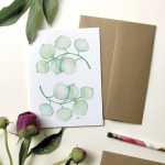 Feuilles Eucalyptus