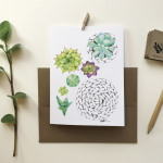 Minis Plantes Succulentes